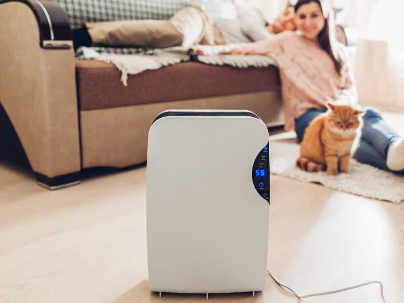 DEHUMIDIFIERS-FOR-HOME-35