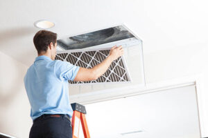 premier HVAC filter replacement services Henderson area