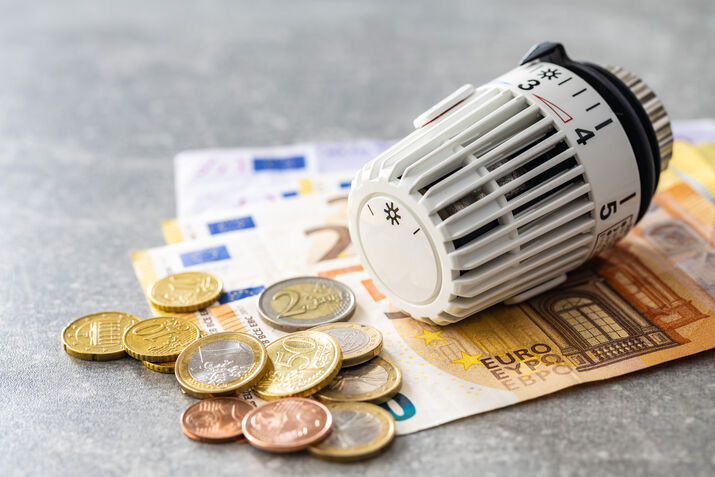 thermostatichead and euro money banknotes